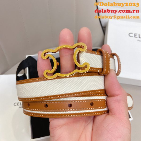 We provide Top Celine AAA+ Belts Sell