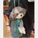 Fashion Goyard Chien Gris & Pocket Pet bag