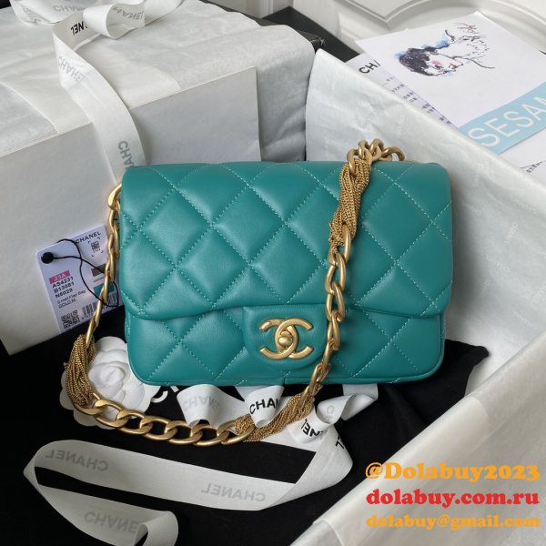 Fashion Buy Multi-function Replica AS4231 Flap Bag