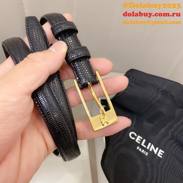 This belt bag celine replica Dolabuy