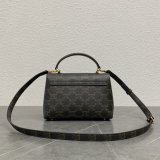 Luxury celine TRIOMPHE 20CM kelly BAG 118113