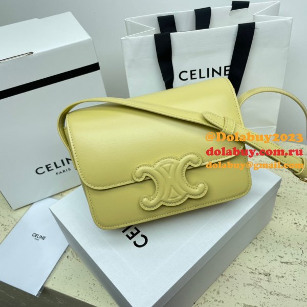 1:1 Replica Celine Triomphe Teen Luxury Handbag