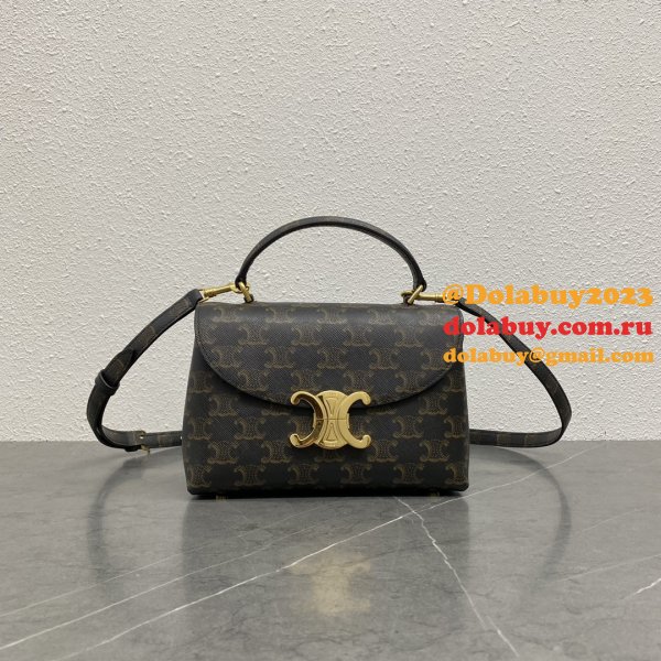 Luxury celine TRIOMPHE 20CM kelly BAG 118113