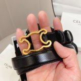 We provide Top Celine AAA+ Belts Sell