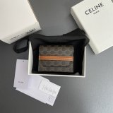 Top Quality celine TRIOMPHE wallet