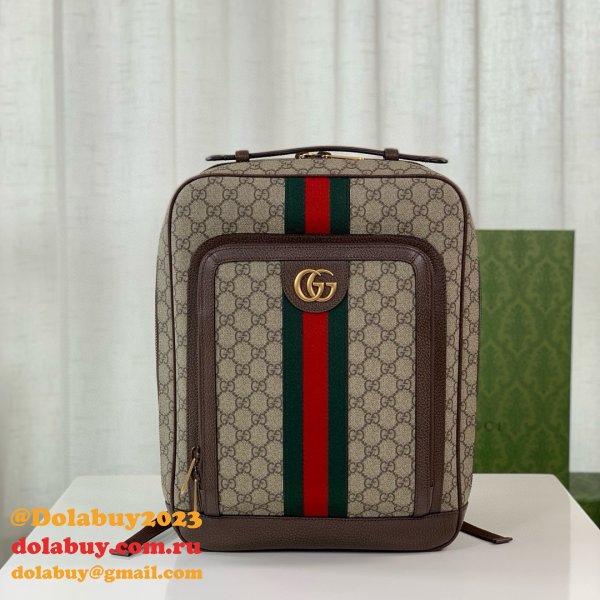 Top Quality gucci Ophidia GG backpack 745718